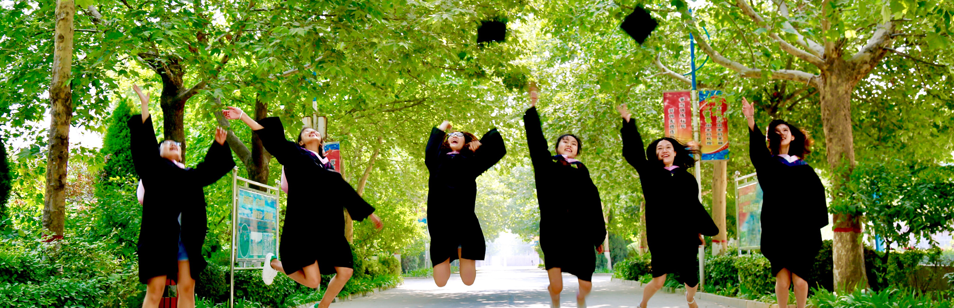 Banner 1