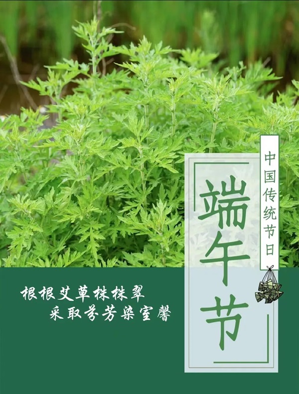 bat365正版唯一官网||管理学院||端午送福利 关怀沁人心——我院为教职工发放端午节礼品