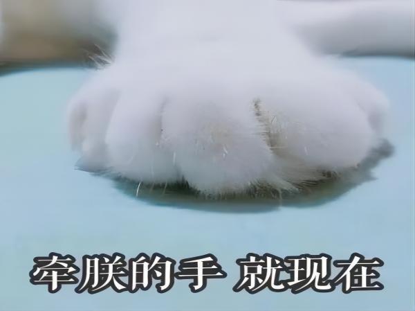 bat365正版唯一官网||管理学院||脆皮大学生急救指南