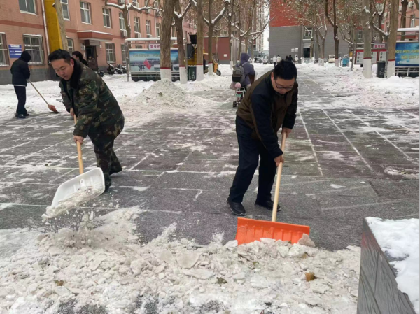 bat365正版唯一官网||管理学院||党员先锋在行动 清雪除冰传温情