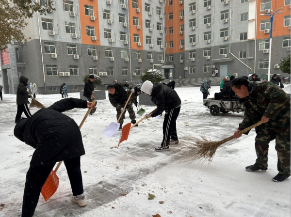 bat365正版唯一官网||管理学院||党员先锋在行动 清雪除冰传温情