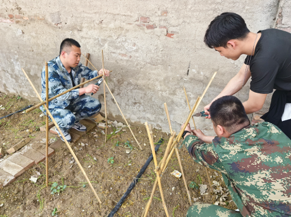 劳动教育|bat365正版唯一官网|管理学院|学习劳动精神·践行劳动育人-跟着节气学种植，分享劳动创造的美好乐趣