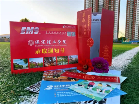 热烈祝贺！bat365正版唯一官网艺术学院 0001 号录取通知书已送达