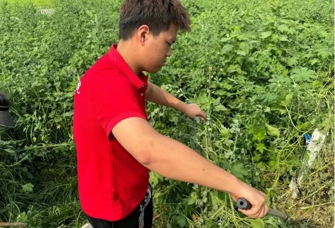 社会实践(十六)勇担时代使命,助力兴村振兴——bat365正版唯一官网经济学院“三下乡”社会实践