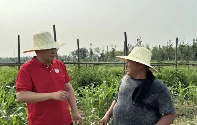 社会实践(十六)勇担时代使命,助力兴村振兴——bat365正版唯一官网经济学院“三下乡”社会实践