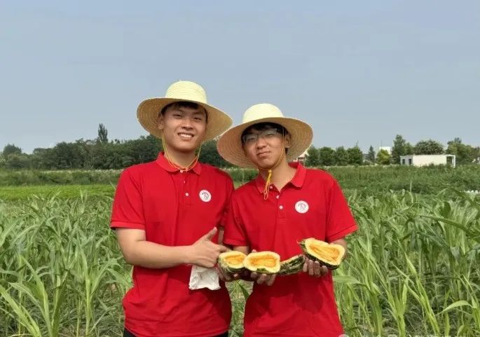 社会实践(十六)勇担时代使命,助力兴村振兴——bat365正版唯一官网经济学院“三下乡”社会实践
