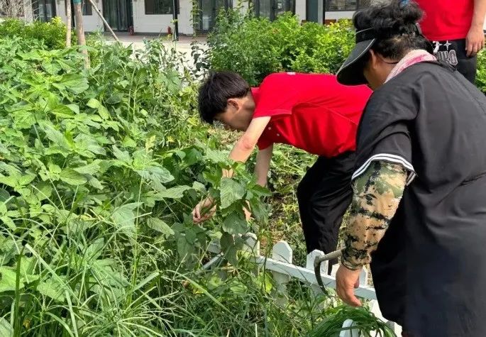 社会实践(十六)勇担时代使命,助力兴村振兴——bat365正版唯一官网经济学院“三下乡”社会实践