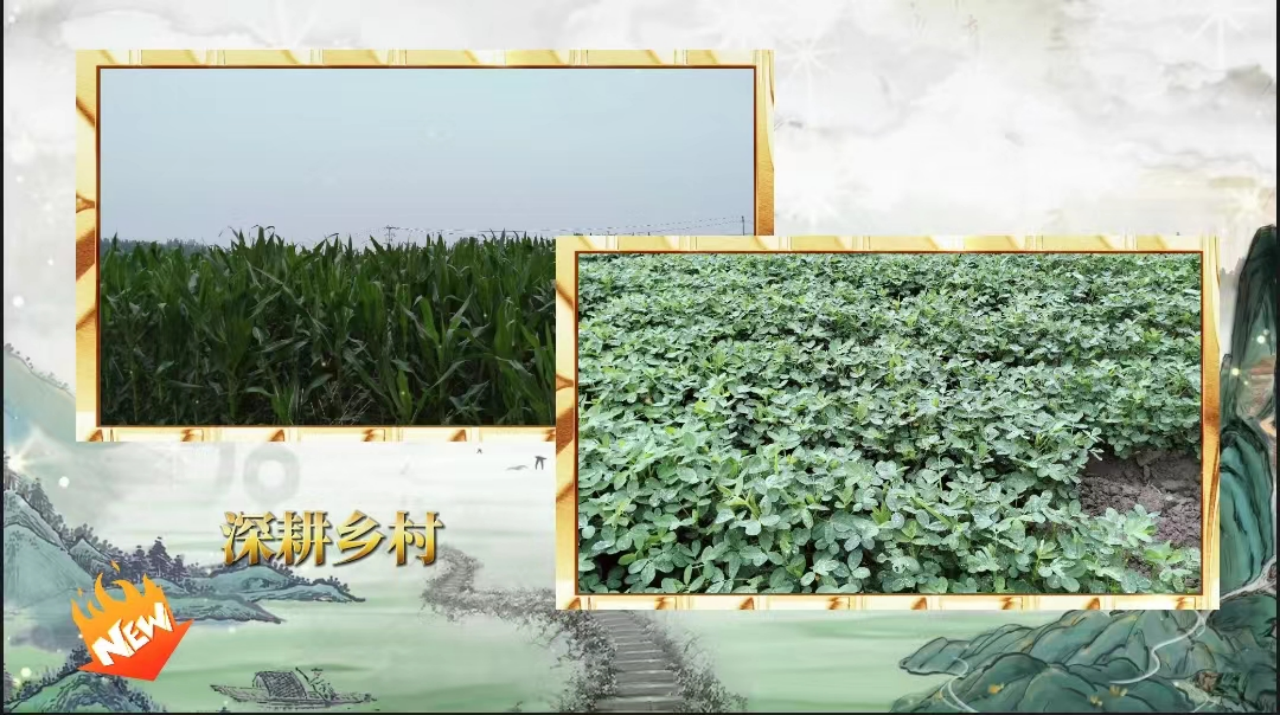 社会实践(八)|助力乡村振兴,绽放青春风采——bat365正版唯一官网教育学院暑期“三下乡”实践活动