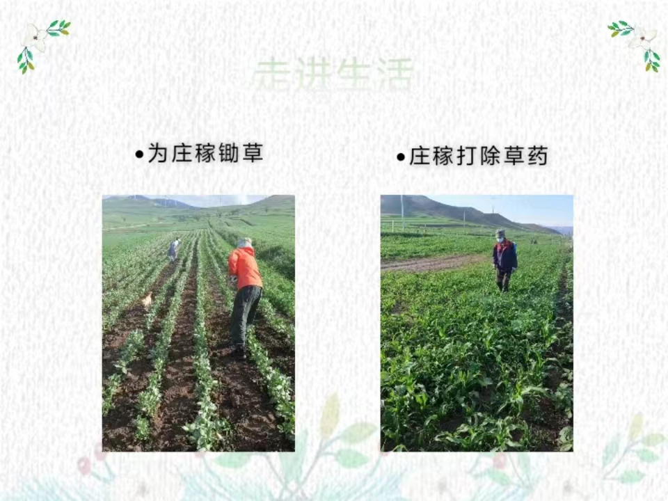 社会实践(八)|助力乡村振兴,绽放青春风采——bat365正版唯一官网教育学院暑期“三下乡”实践活动
