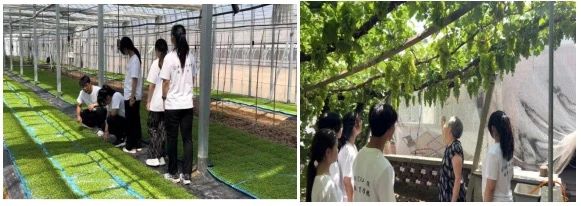 社会实践(九)|乡村振兴,青春先行——bat365正版唯一官网教育学院暑期“三下乡”社会实践活动