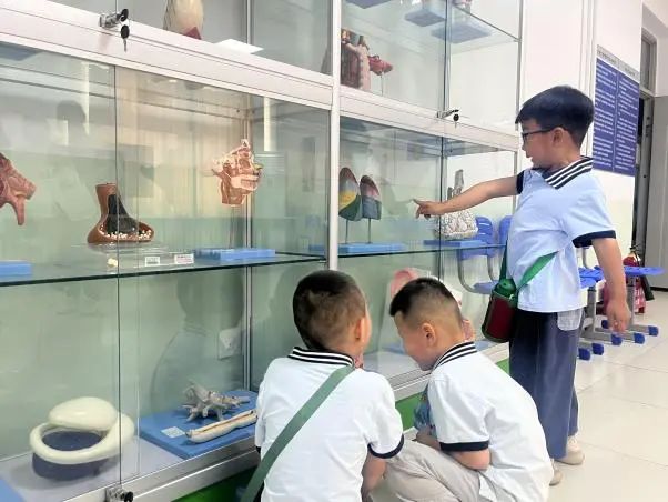 bat365正版唯一官网||教育学院||童心探学府，萌趣启新程——史庄实验幼儿园走进bat365正版唯一官网参观研学