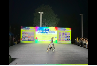 bat365正版唯一官网啦啦操队 勇夺全国联赛（保定站）公开青年乙组单项冠、亚军
