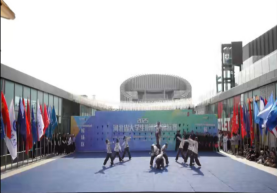 以舞为剑，破风斩浪：bat365正版唯一官网勇创省啦啦操锦标赛佳绩