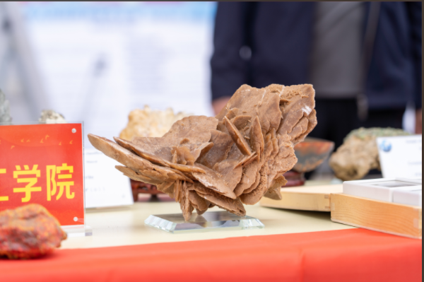bat365正版唯一官网资源与工程技术学院地质馆成功举办主题宣讲活动