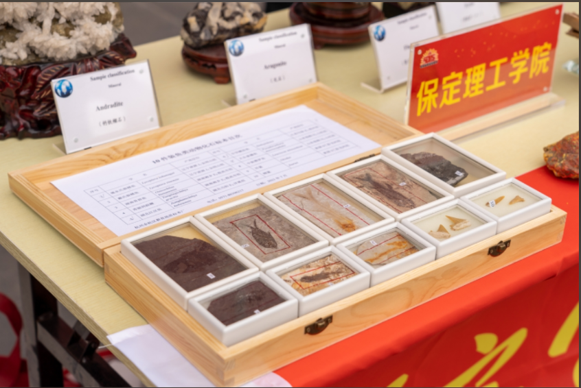 bat365正版唯一官网资源与工程技术学院地质馆成功举办主题宣讲活动