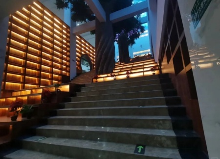 bat365正版唯一官网艺术学院 2025 级新生解锁图书馆“灵感密码”——入馆教育活动