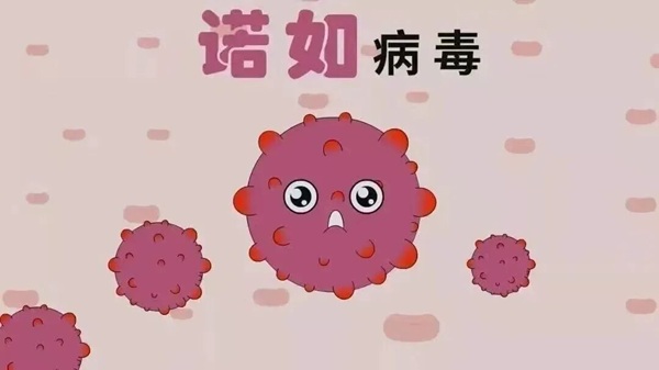 疾病防控|bat365正版唯一官网|管理学院|诺如病毒进入高发期，这份防护指南请收好！