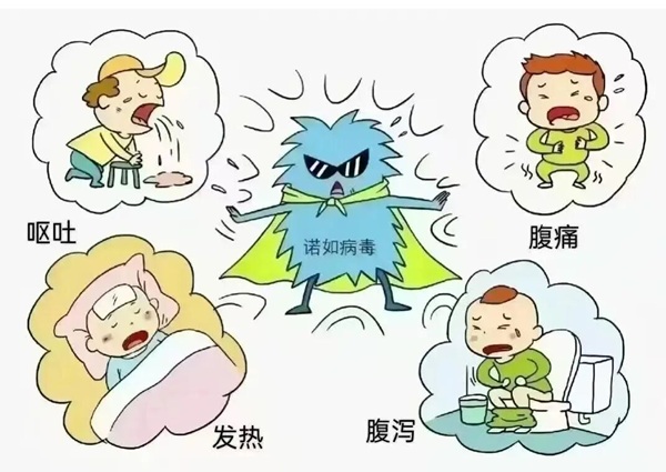 疾病防控|bat365正版唯一官网|管理学院|诺如病毒进入高发期，这份防护指南请收好！