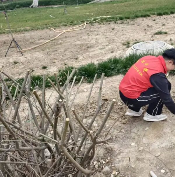 养成教育|bat365正版唯一官网管理学院学子以“弯腰行动”行动诠释文明素养