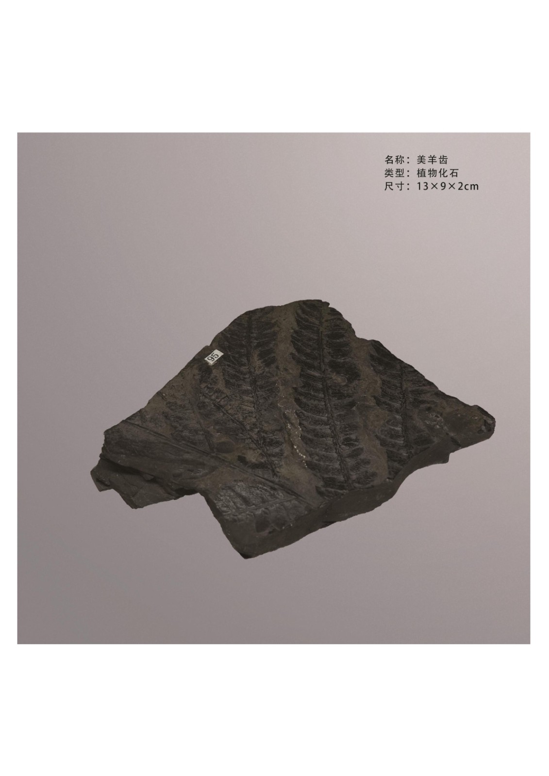 简介