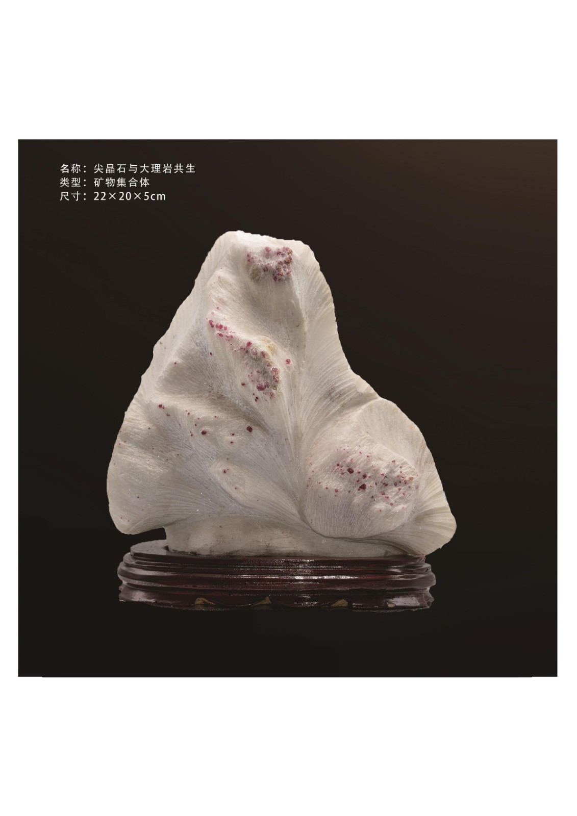 简介