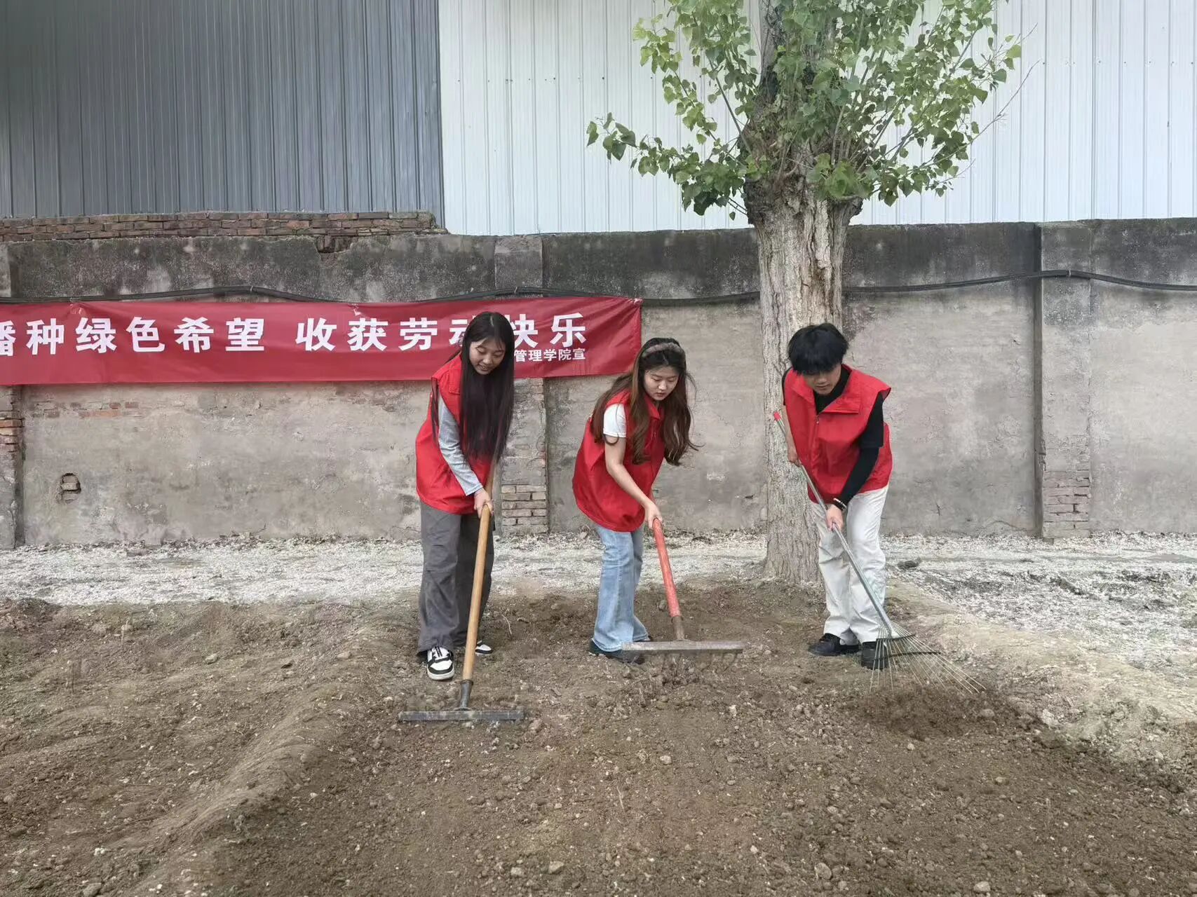 劳动铸魂践初心 体验赋能促成长——bat365正版唯一官网管理学院开展劳动教育月主题党日实践活动