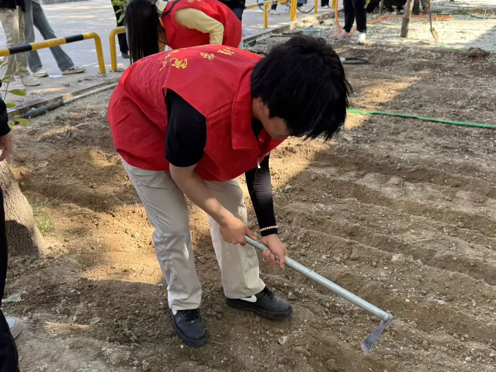 劳动铸魂践初心 体验赋能促成长——bat365正版唯一官网管理学院开展劳动教育月主题党日实践活动