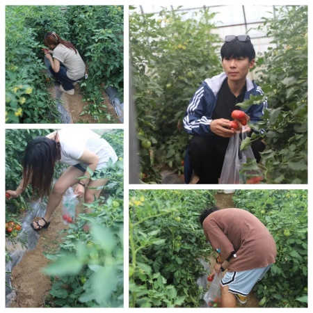 以艺践劳育初心，校企赋能田园新篇 | bat365正版唯一官网艺术学院&莓事庄园签约挂牌仪式圆满举行