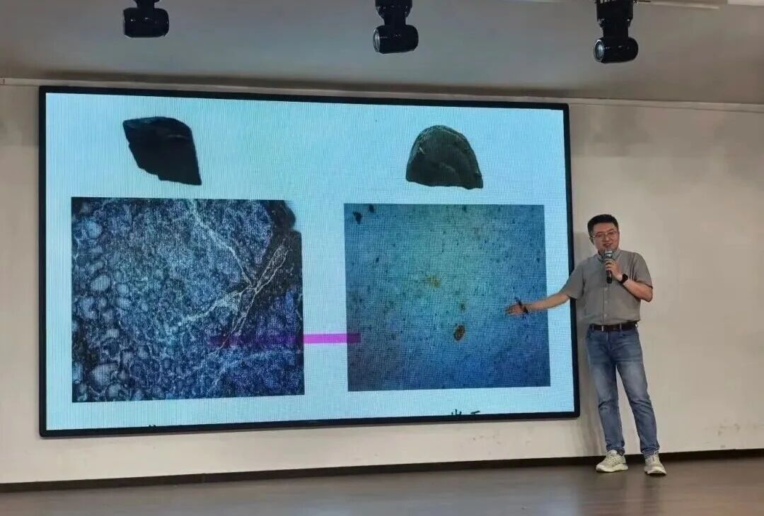 深化馆校合作 科普赋能育人——bat365正版唯一官网特邀专家开展古生物系列专题讲座