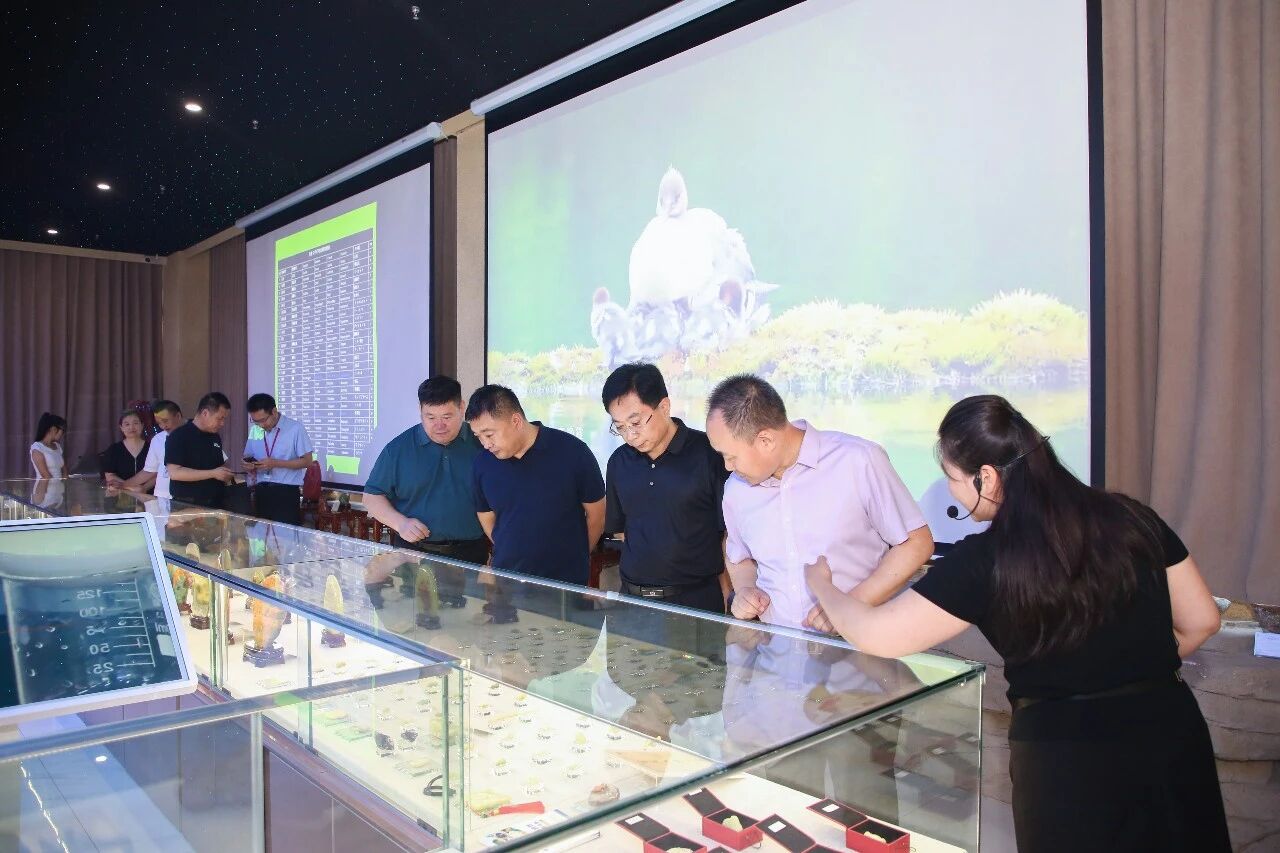 深化校地协同 赋能科技创新——市科协领导莅临bat365正版唯一官网交流指导